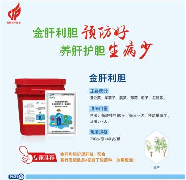 金肝利胆新.png