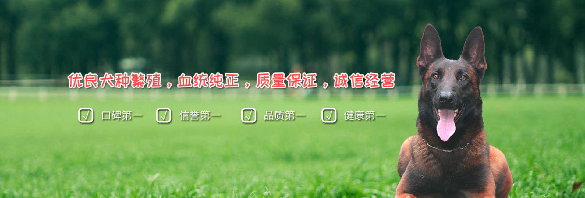大图二.jpg