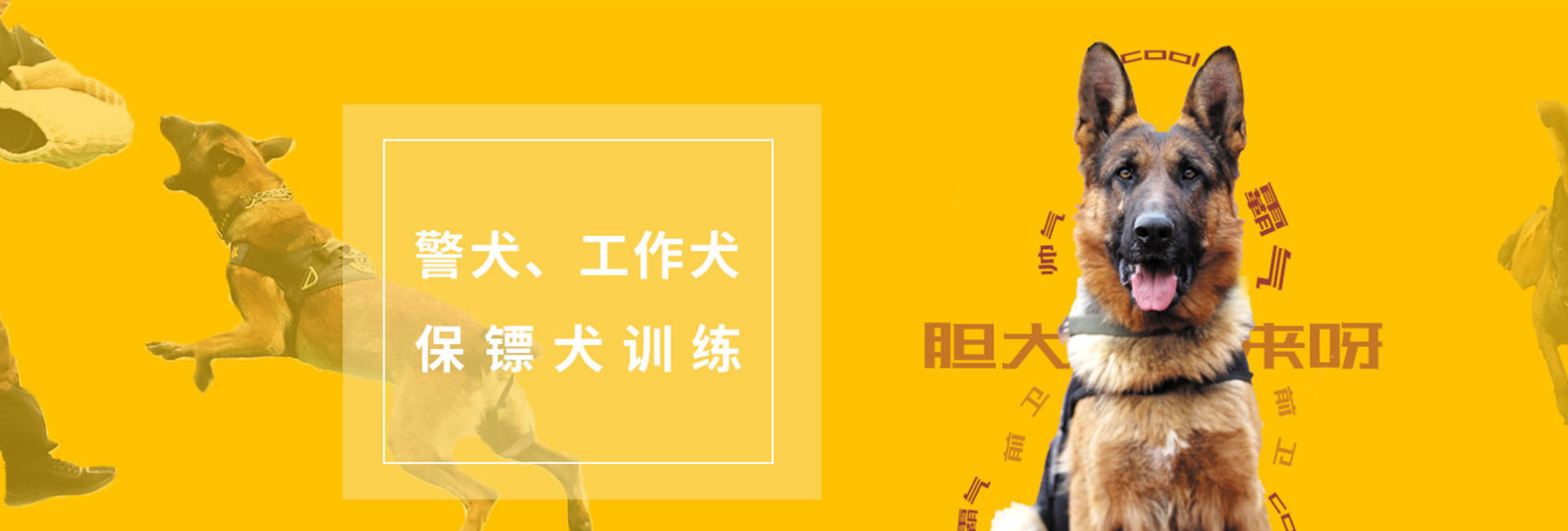 大图三.jpg