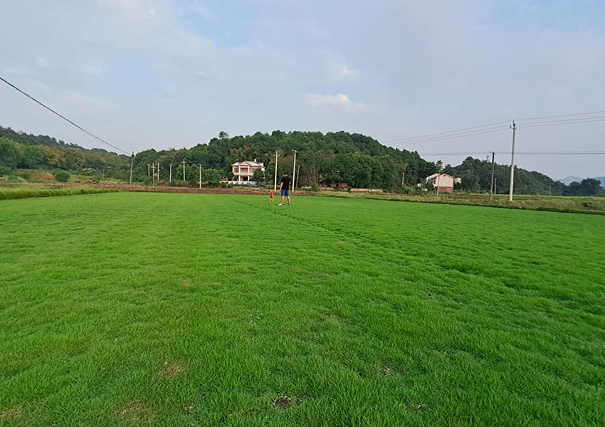 训犬基地案例.jpg