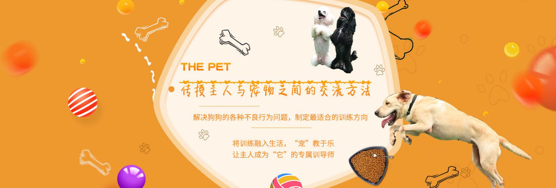 大图一.jpg