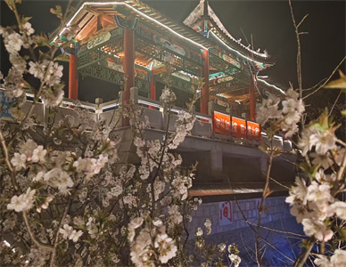 微信截图_20250427095307.jpg