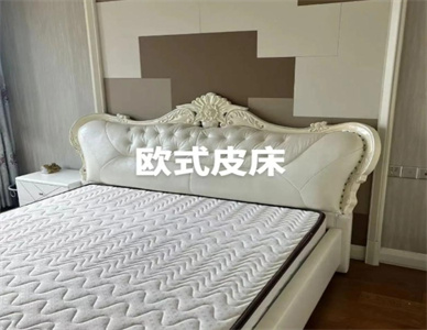 微信截图_20241213170031.jpg