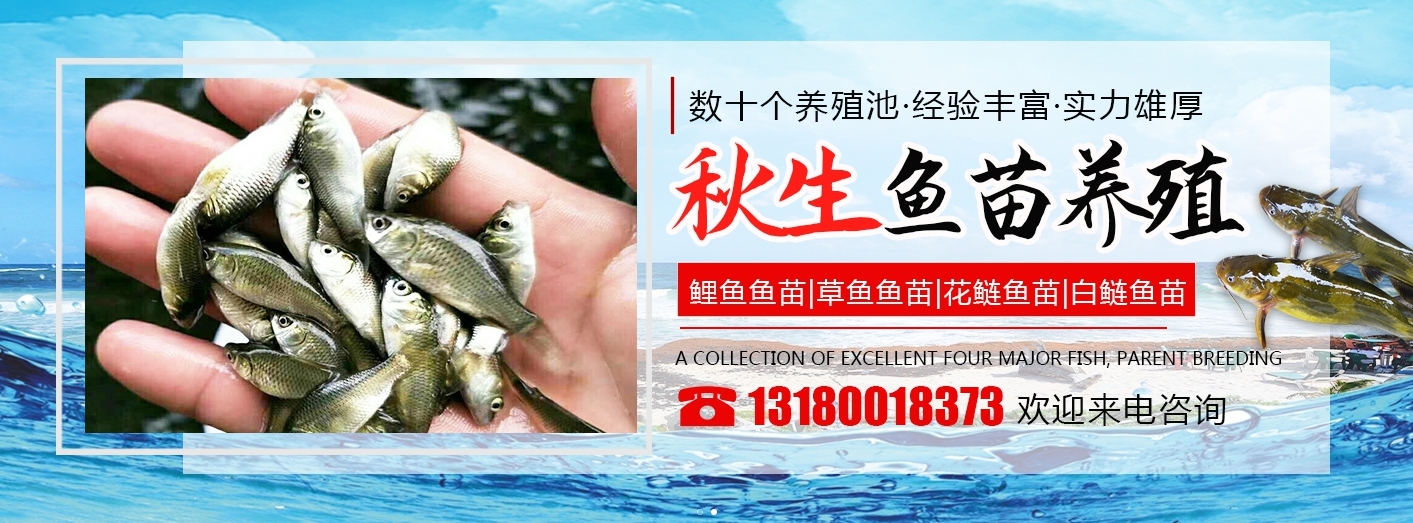 微信截图_20250605193537.png