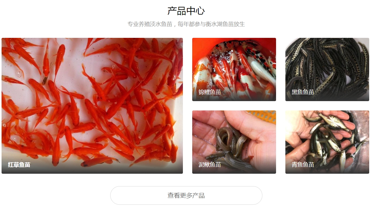 微信截图_20250605193611.png