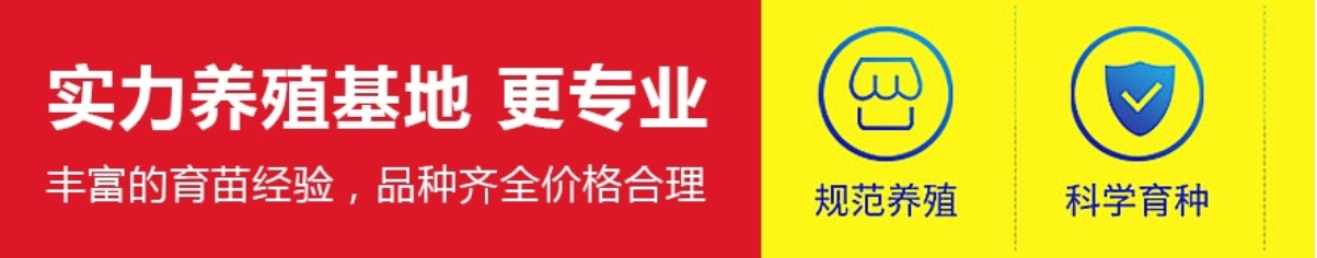 微信截图_20250605193656.png
