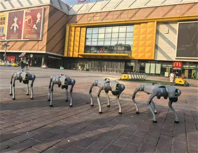 微信截图_20250609104107.jpg