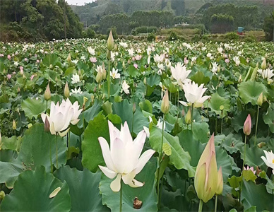 微信图片_20250711173216.jpg