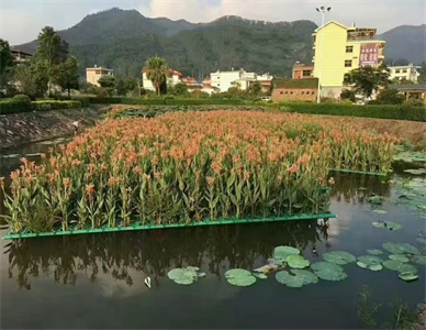 微信图片_202507111732162.jpg