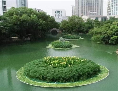 微信图片_202507111732172.jpg