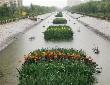 微信图片_20250711172431.jpg