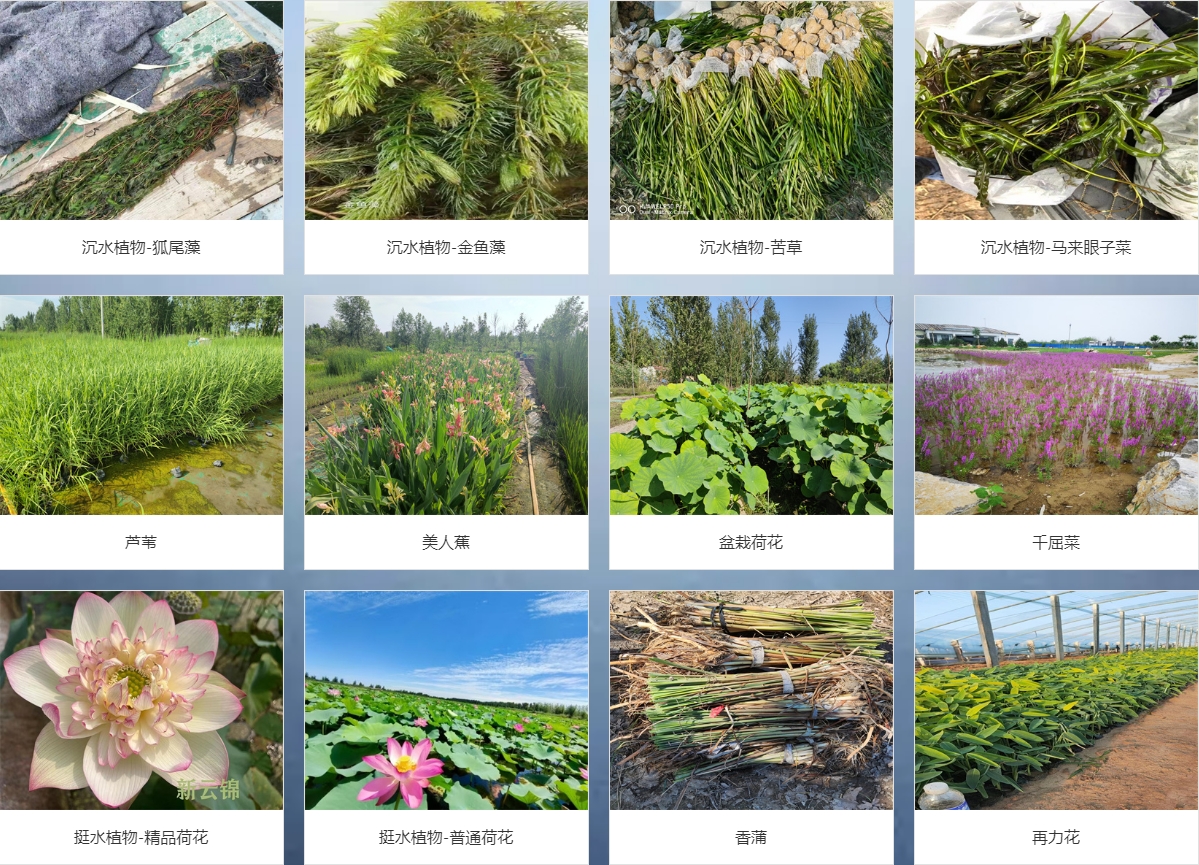 微信截图_20250717154156.png
